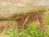 image of grave number 808714